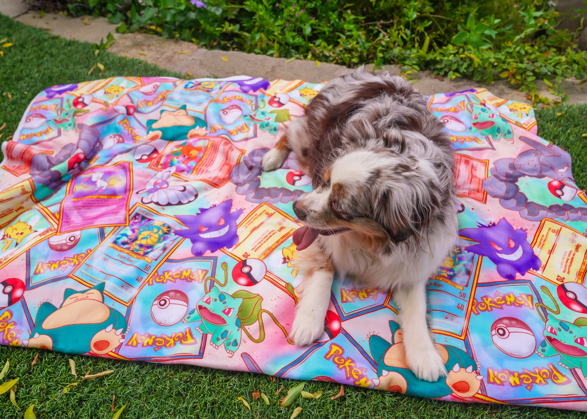 Blankets