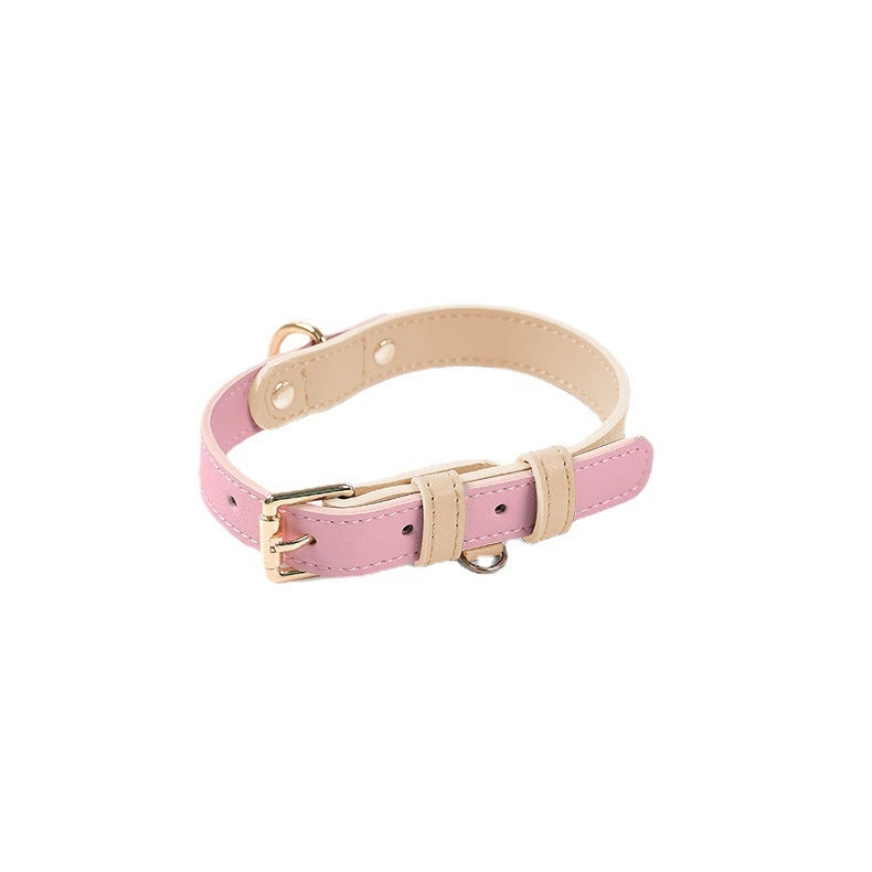 Colorful Leather Dog Collar