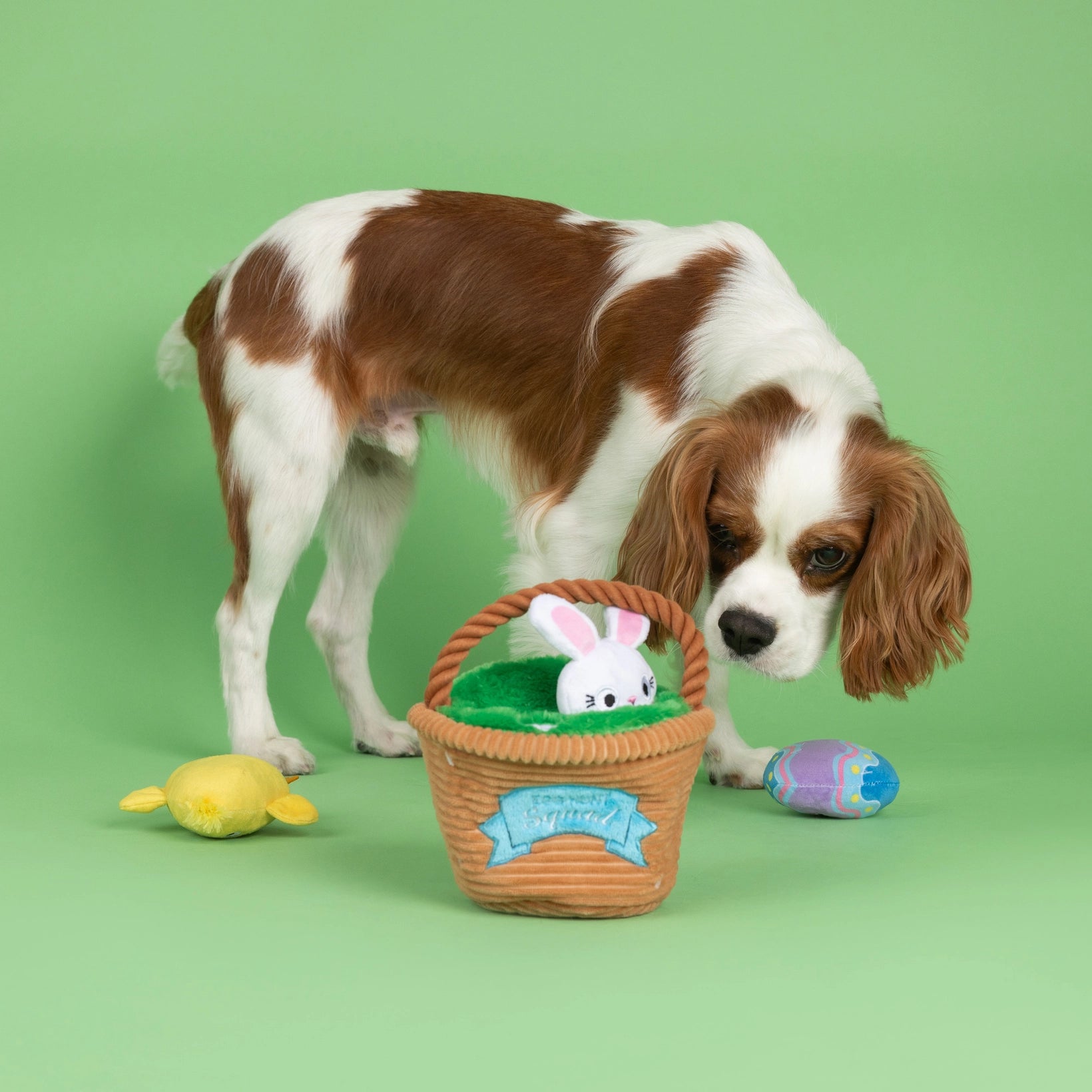 Egg Hunt Squad Hide N Seek Dog Toy
