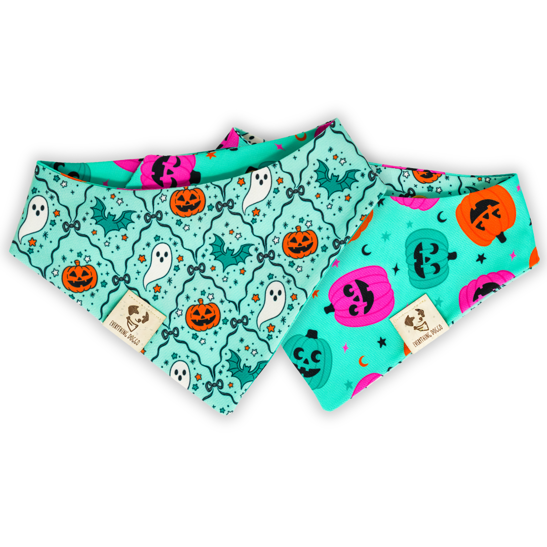 Coquette Mischief - Bandana (Reversible)