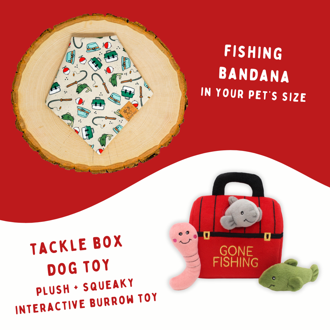 Fishing Bundle