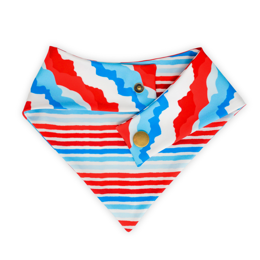 RWB Mountains - Active Snap On Bandana (Reversible)
