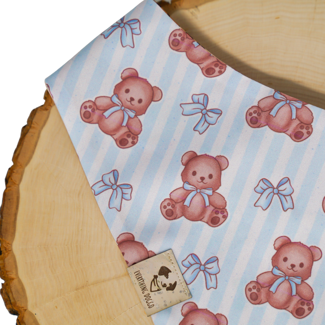 Cute Teddy - Bandana