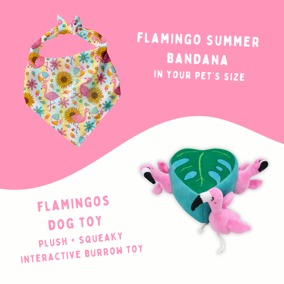 Flamingo Summer Bundle