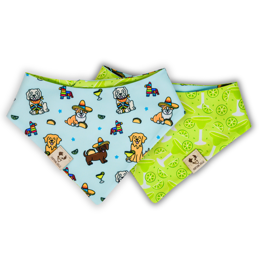 Cinco de Mayo Pups - Bandana (Reversible)