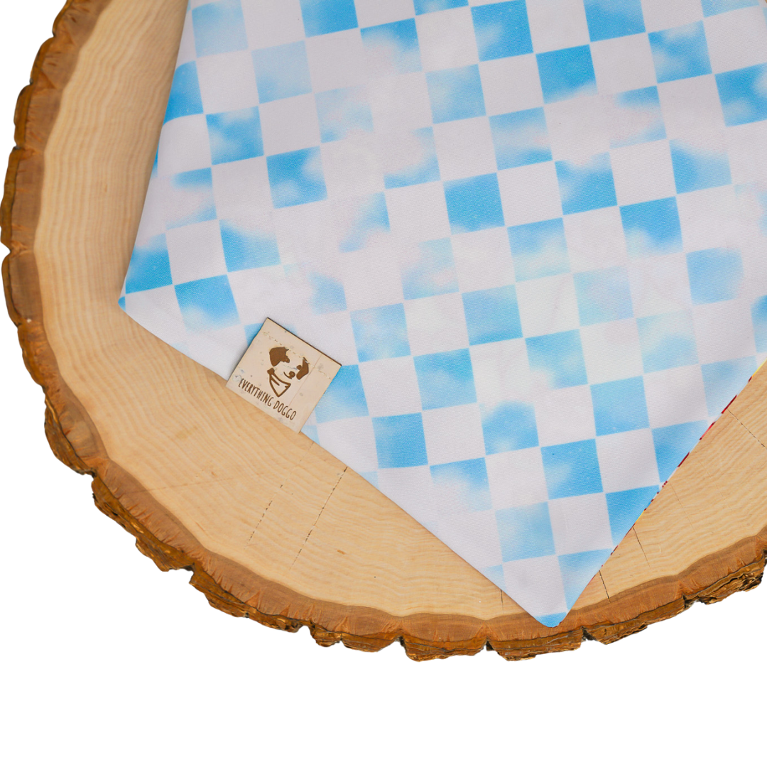 Cloud Kingdom (January Monthly Mystery) - Bandana