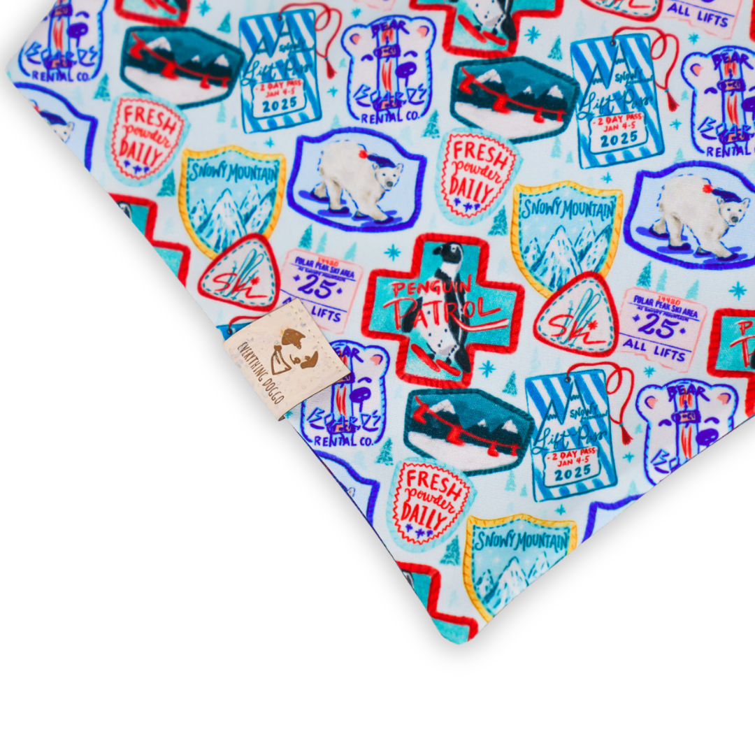 Ski Season (December Monthly Mystery) - Bandana