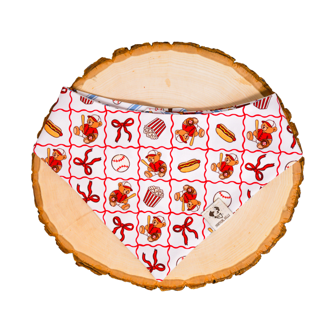 Teddy Ballgame (March Monthly Mystery) - Bandana