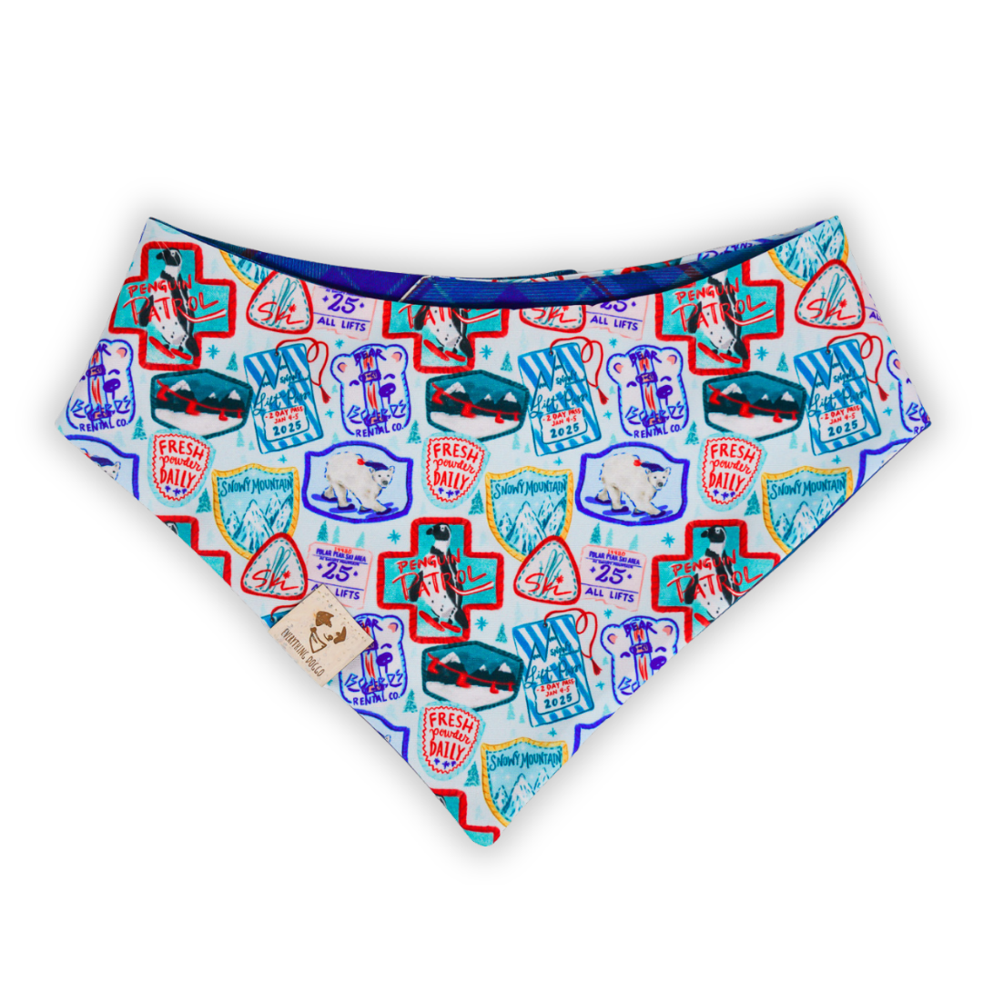 Ski Season (December Monthly Mystery) - Bandana