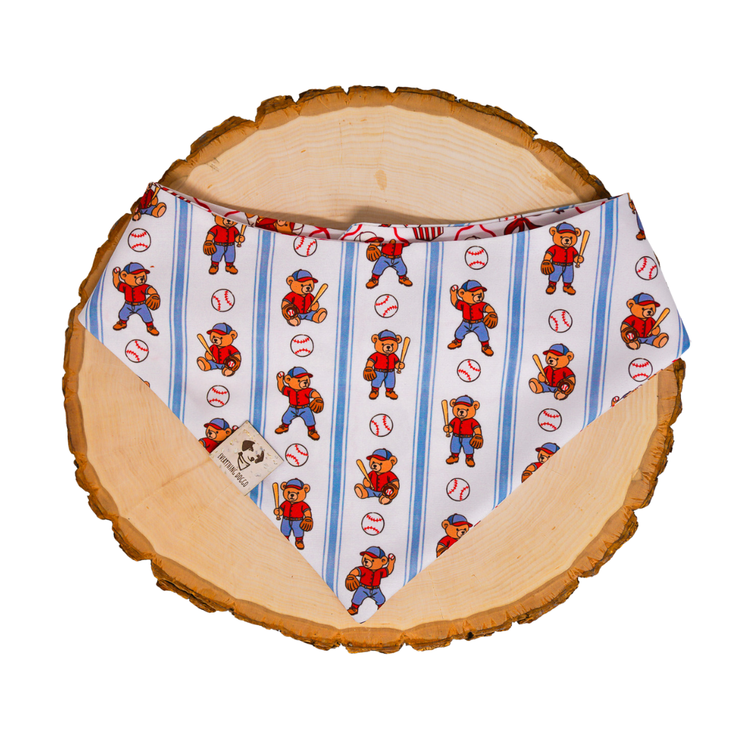 Teddy Ballgame (March Monthly Mystery) - Bandana