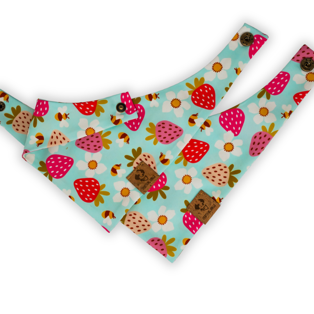 Berries and Daisies - Single Snap Bandana