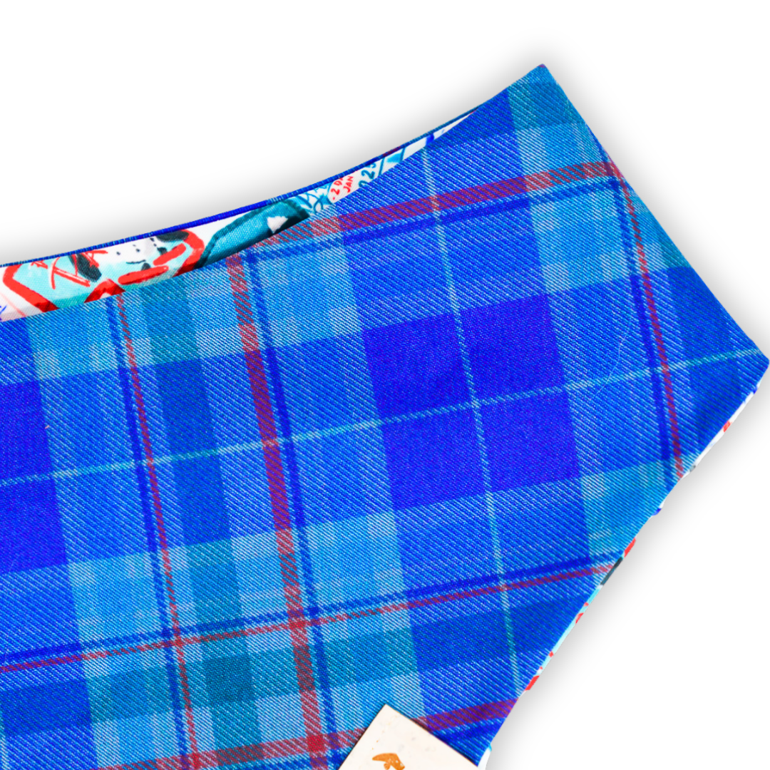 Ski Season (December Monthly Mystery) - Bandana