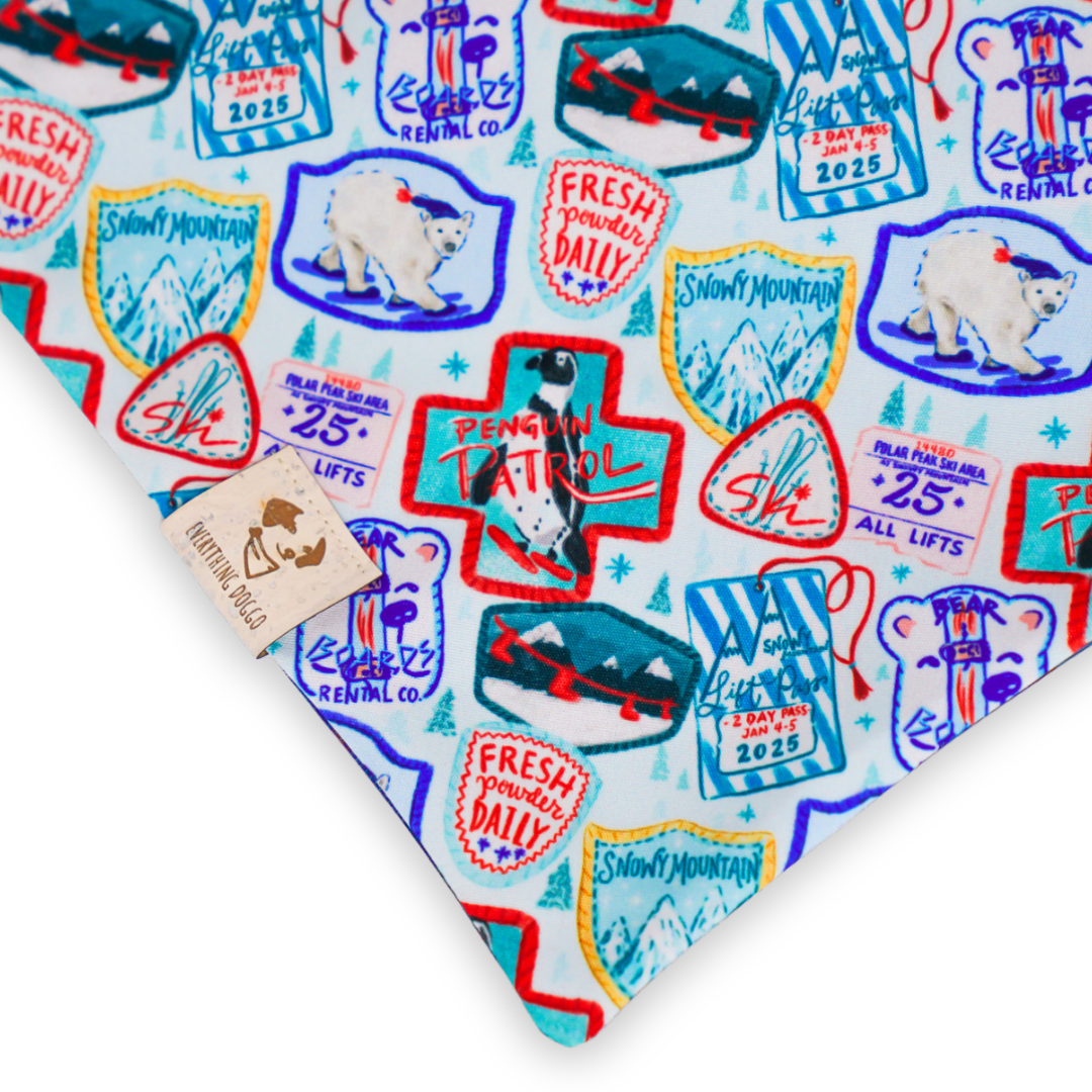 Ski Season (December Monthly Mystery) - Bandana