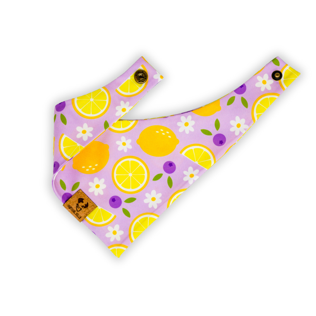Purple Lemons and Daisies - Single Snap Bandana