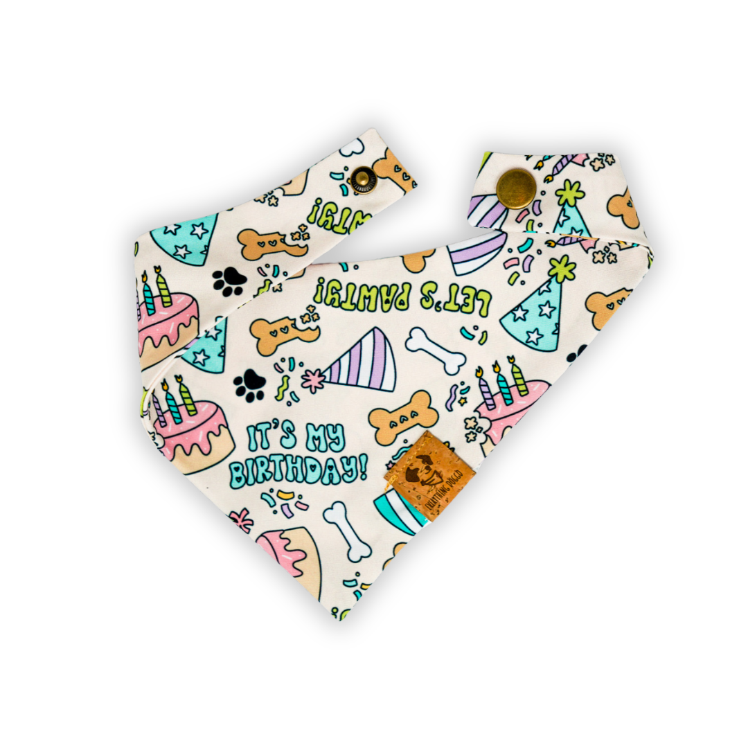 Let's Pawty - Single Snap Bandana