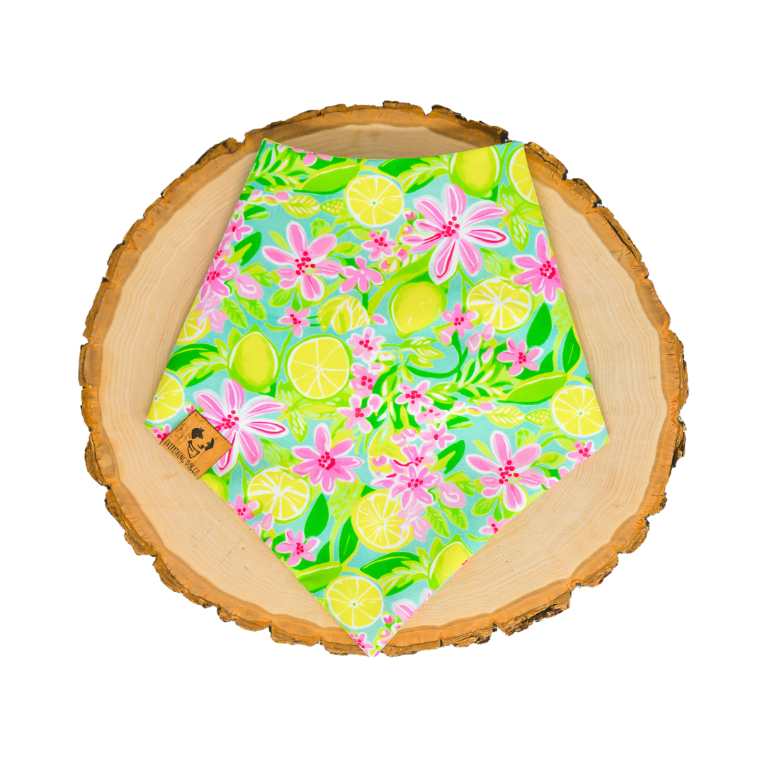 Preppy Limes - Bandana