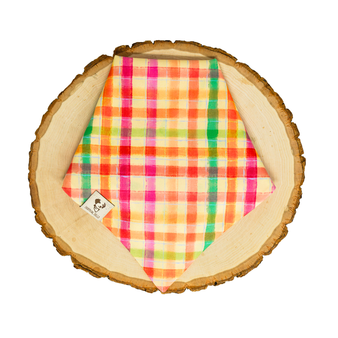 Peach Picnic (June Monthly Mystery) - Bandana