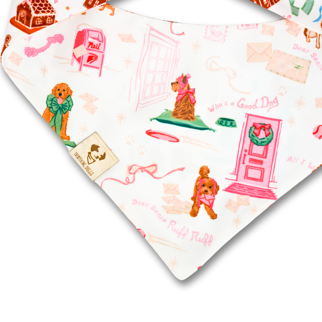 Dear Santa Ruff Ruff (October Monthly Mystery) - Bandana