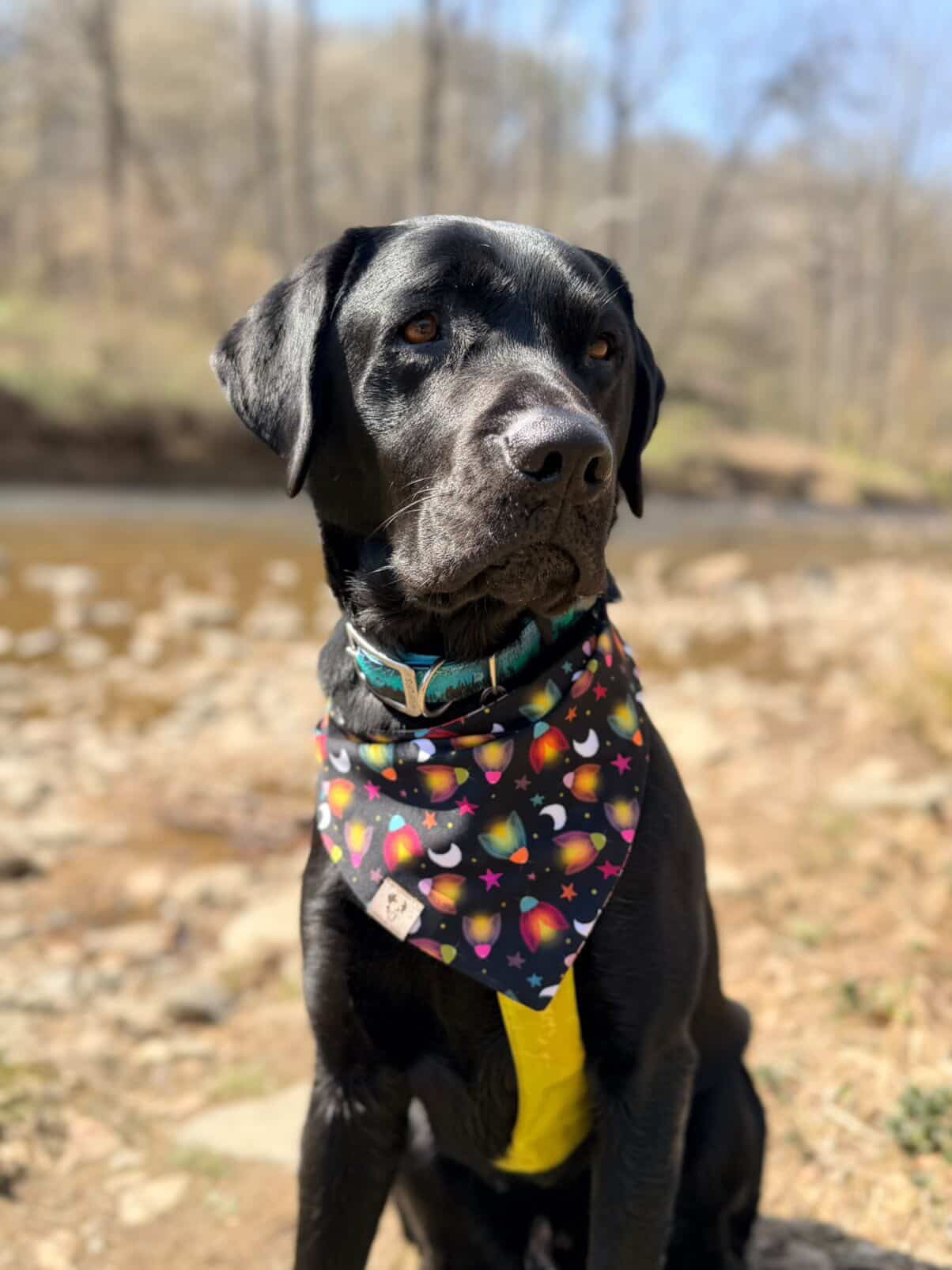 Trail Buddy - Active Snap On Bandana (Reversible)