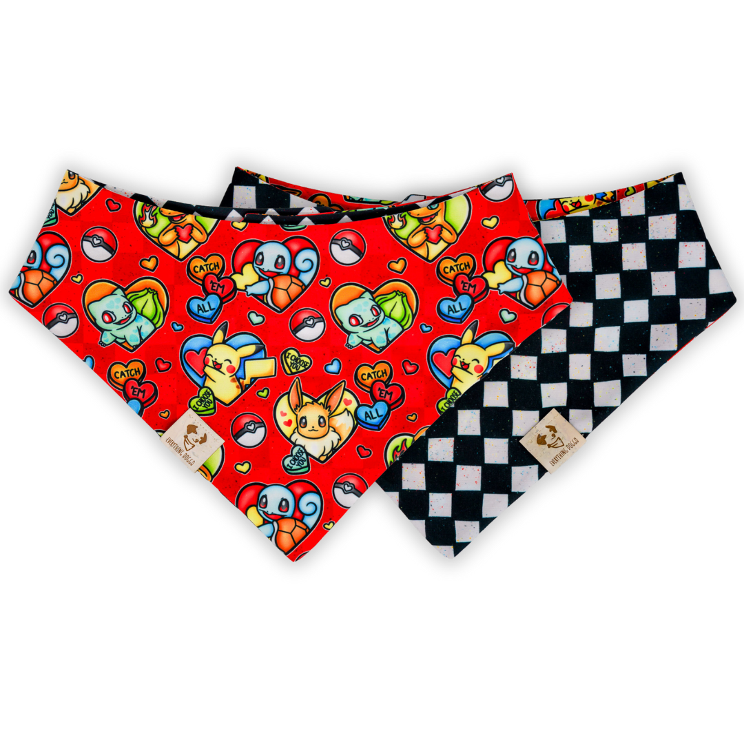 I Choose You - Bandana (Reversible)