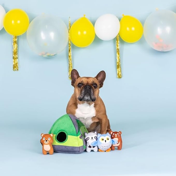Hide & Seek Dog Toy Happy Campers