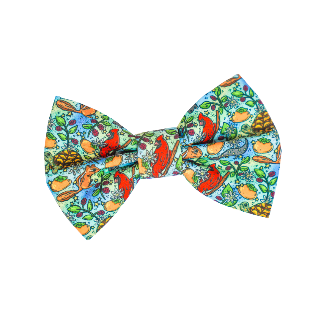 Midwest - Bow