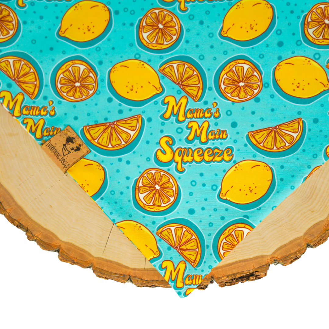 Main Squeeze (Blue) - Bandana (Reversible)
