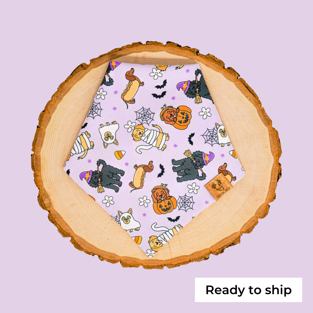 RTS Cute Halloween Dogs - Bandana (Medium Classic Tie On / Snaps Optional)