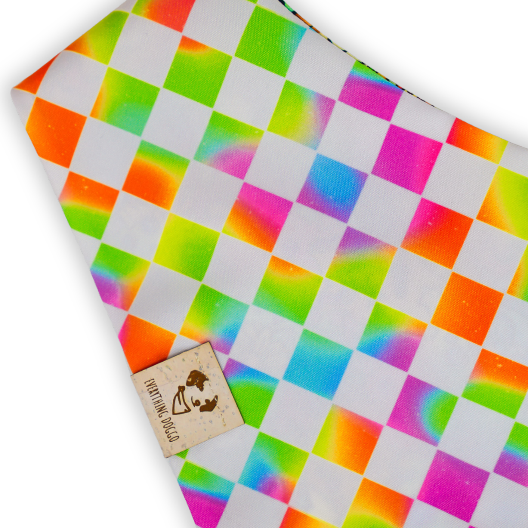 Rainbow Evolutions - Bandana (Reversible)