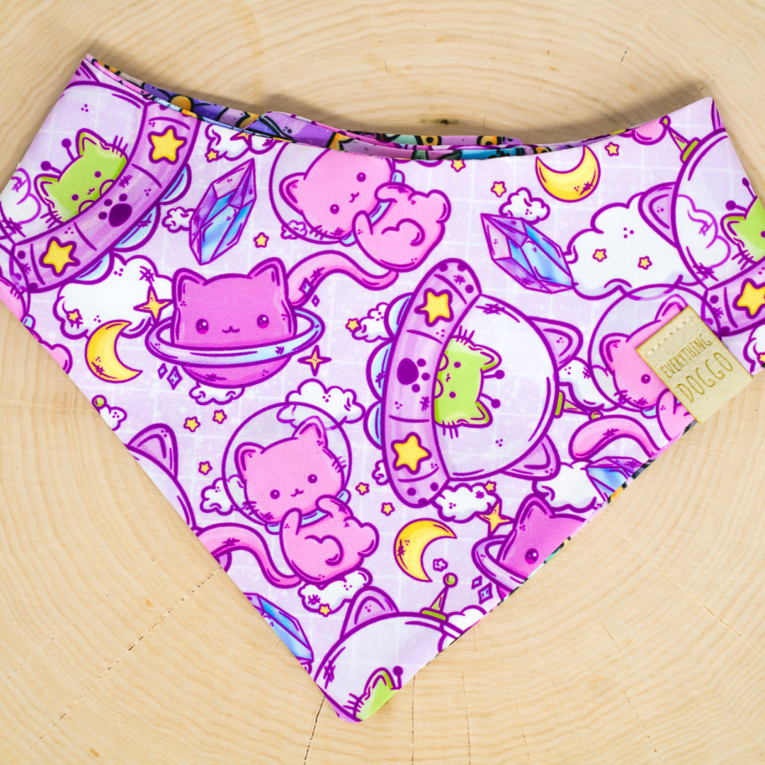 Outer Space Cats - Bandana