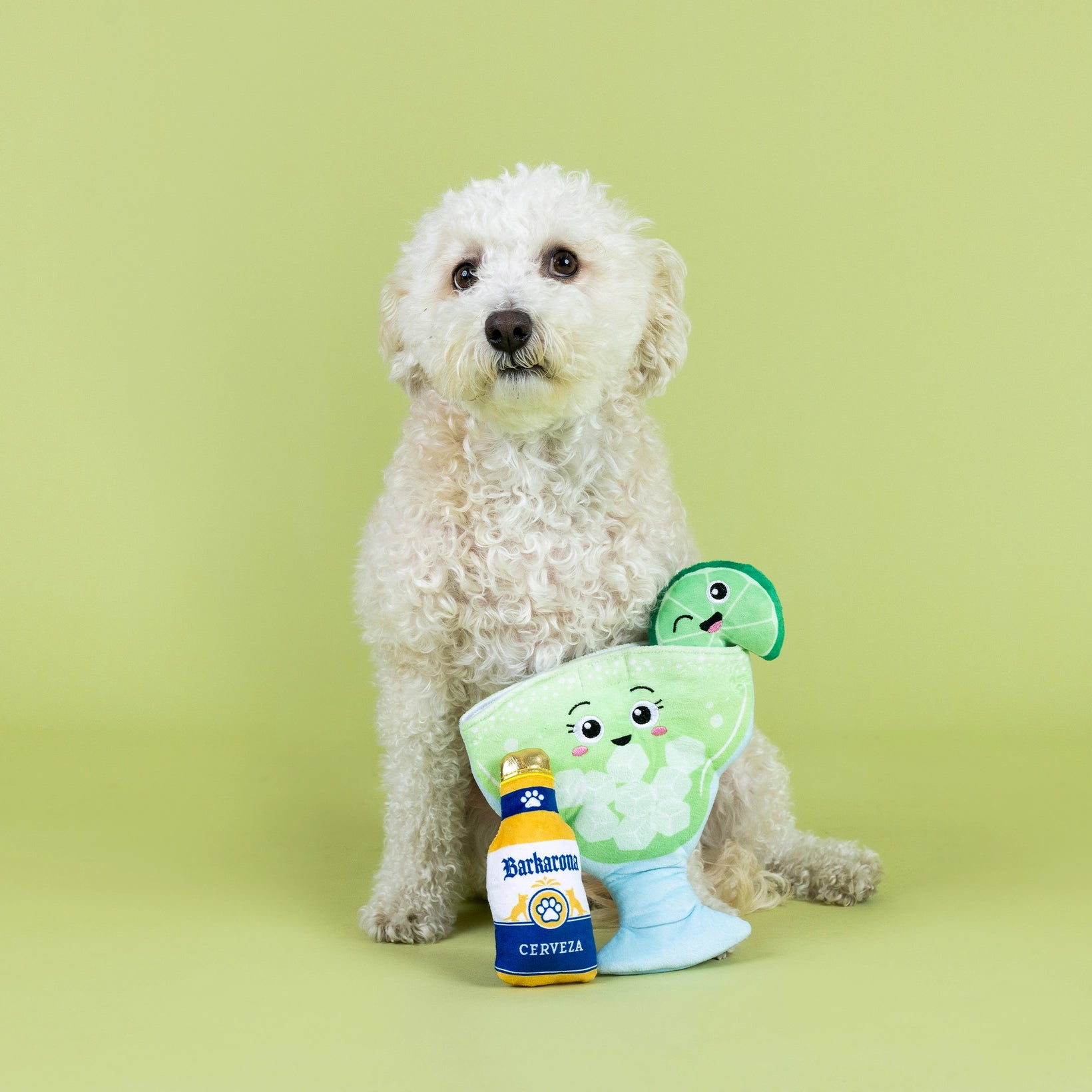 Drop Me A Lime Hide and Seek Dog Toy