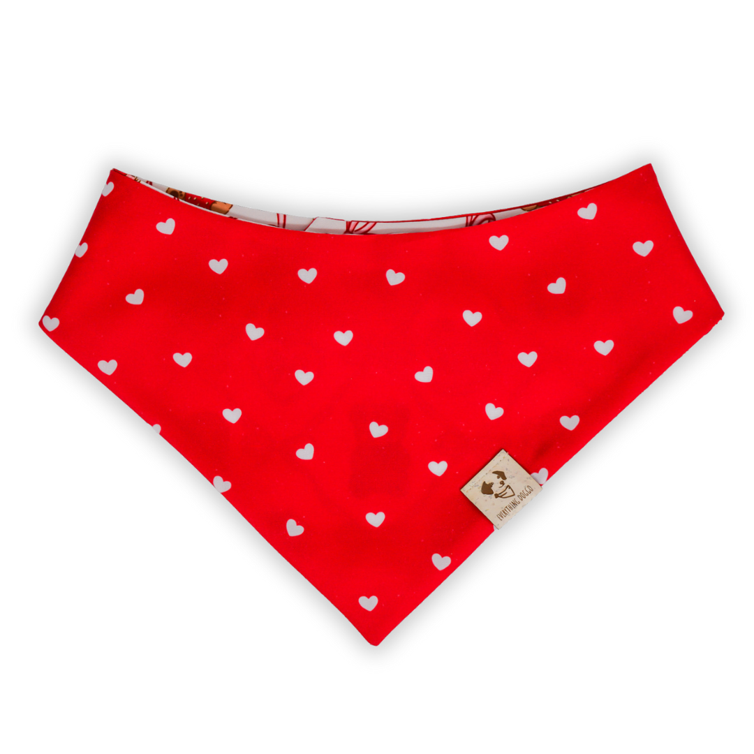 Coquette Valentine - Bandana (Reversible)