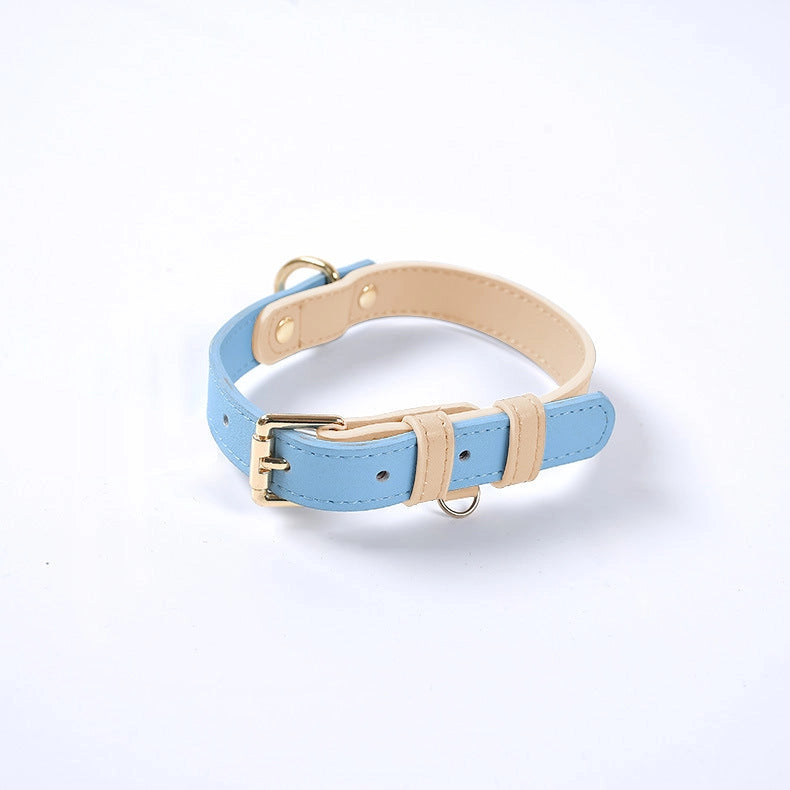 Colorful Leather Dog Collar