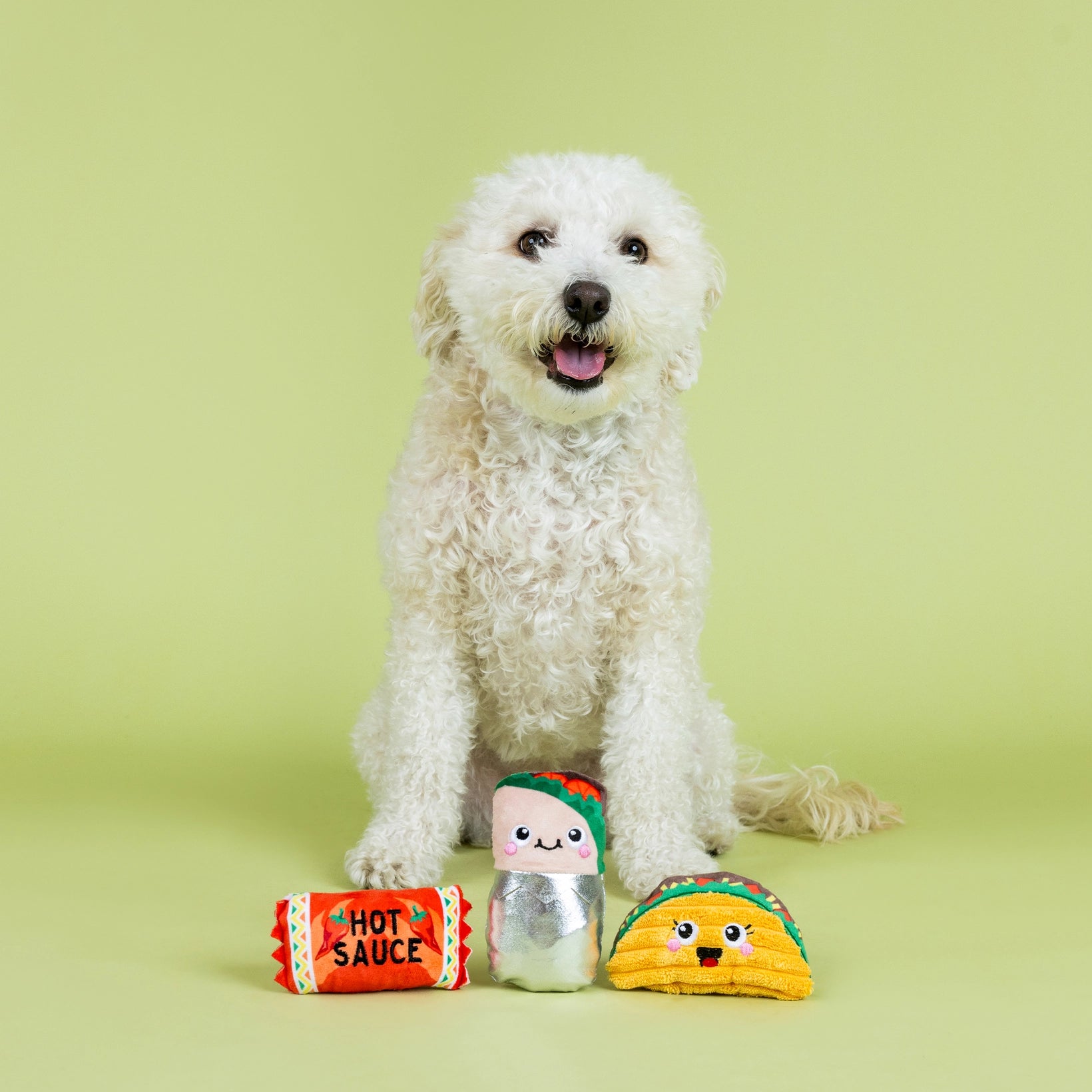 I Got the Hots For You Small Plush Dog Toy (3 Pieces)