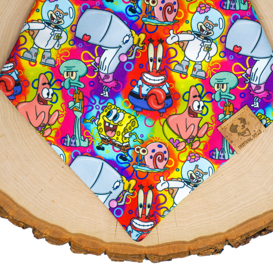 Sponge Friends and Villains (June Monthly Mystery) - Bandana
