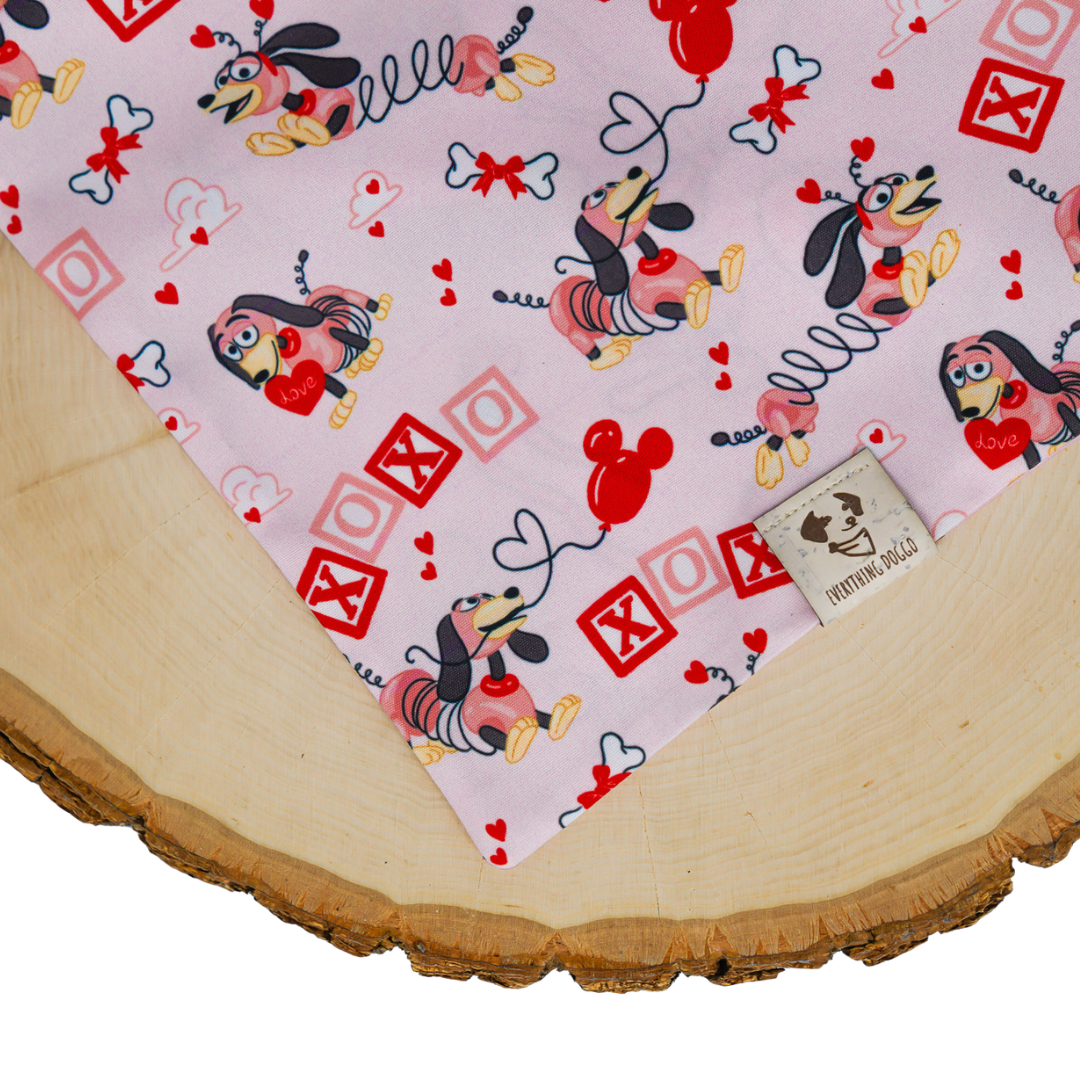 Slinky Love - Bandana
