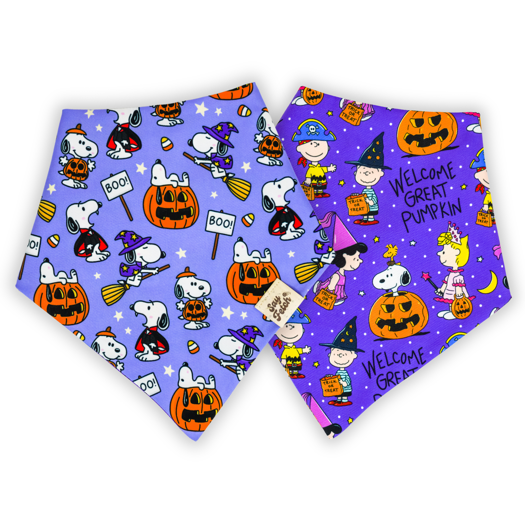 Spooky Beagle Friends (September Monthly Mystery) - Bandana