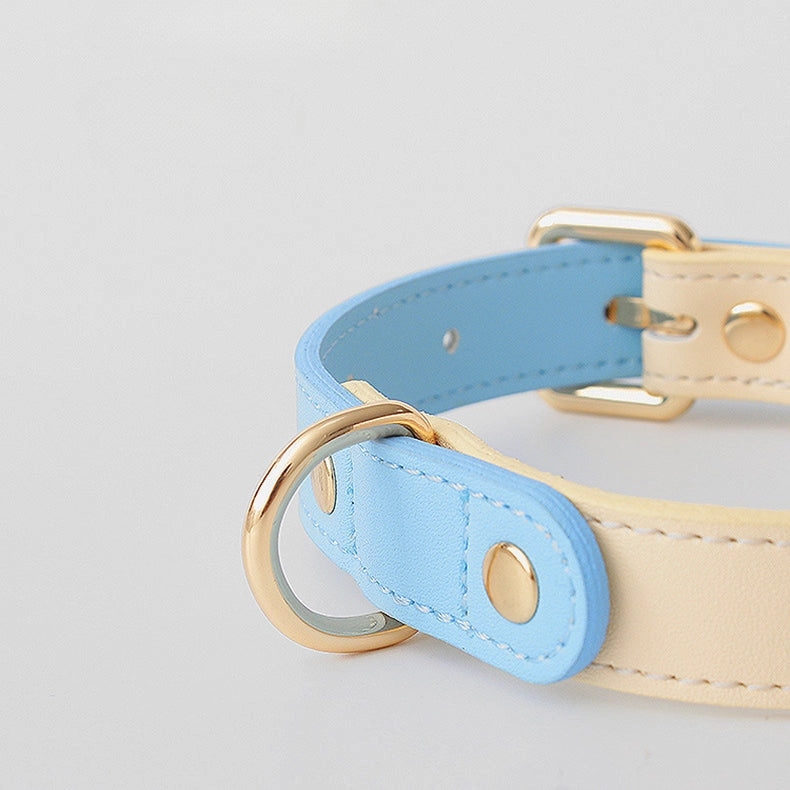 Colorful Leather Dog Collar