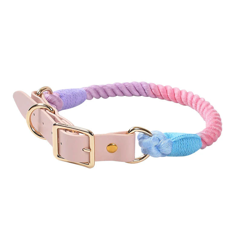 Pastel Rainbow - Dog Collar and Leash (Sold Separately)
