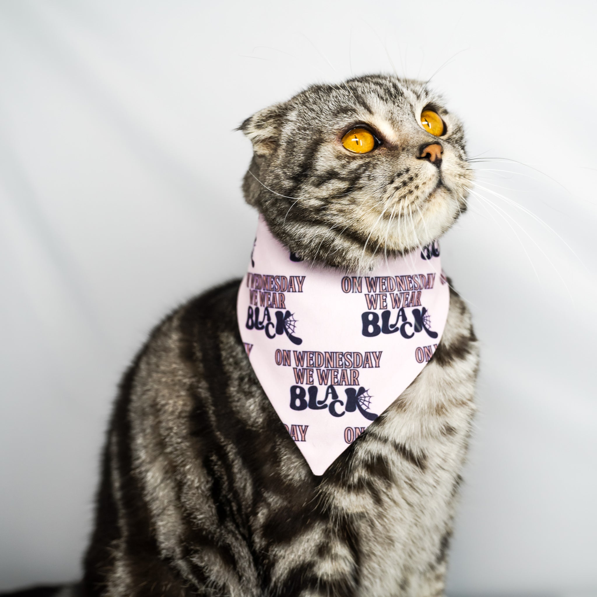 Wednesday - Bandana (Reversible)