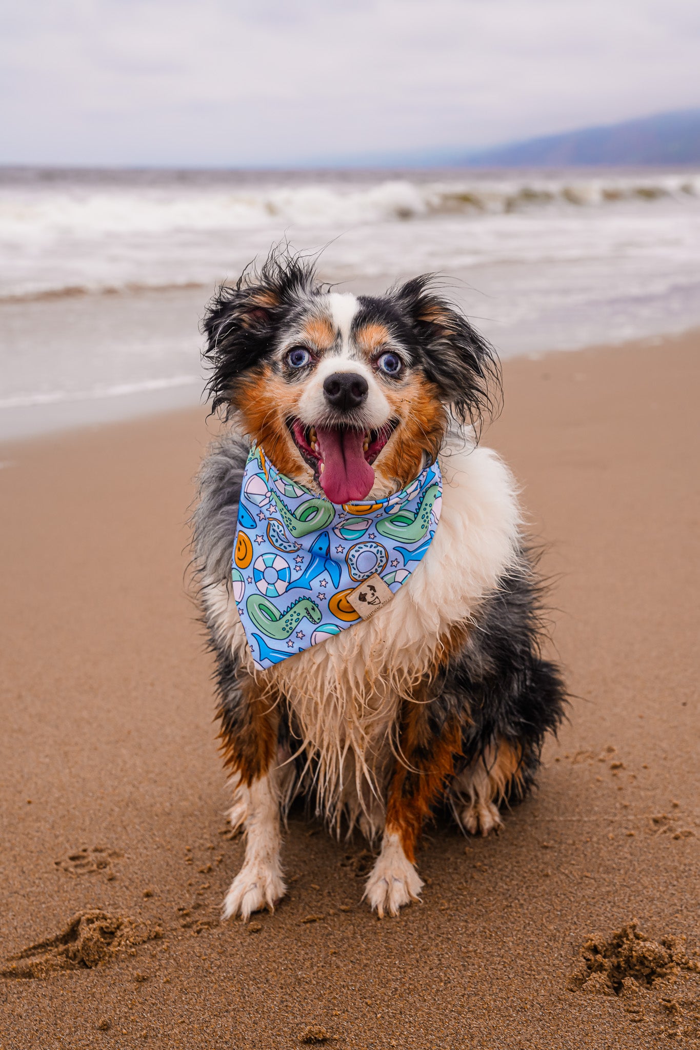 Go With The Float - Active Snap On Bandana