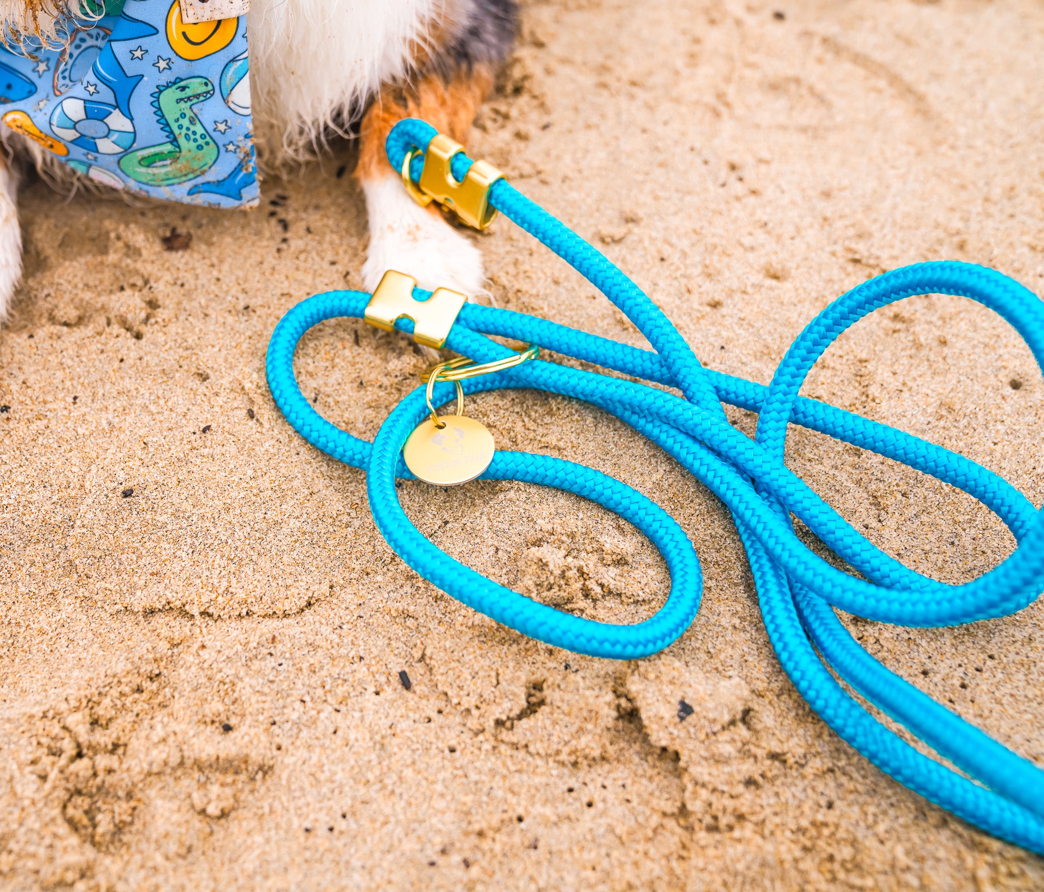 Teal Marine Rope Dog Leash