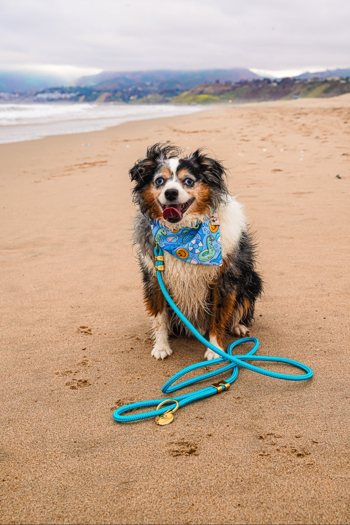 Teal Marine Rope Dog Leash