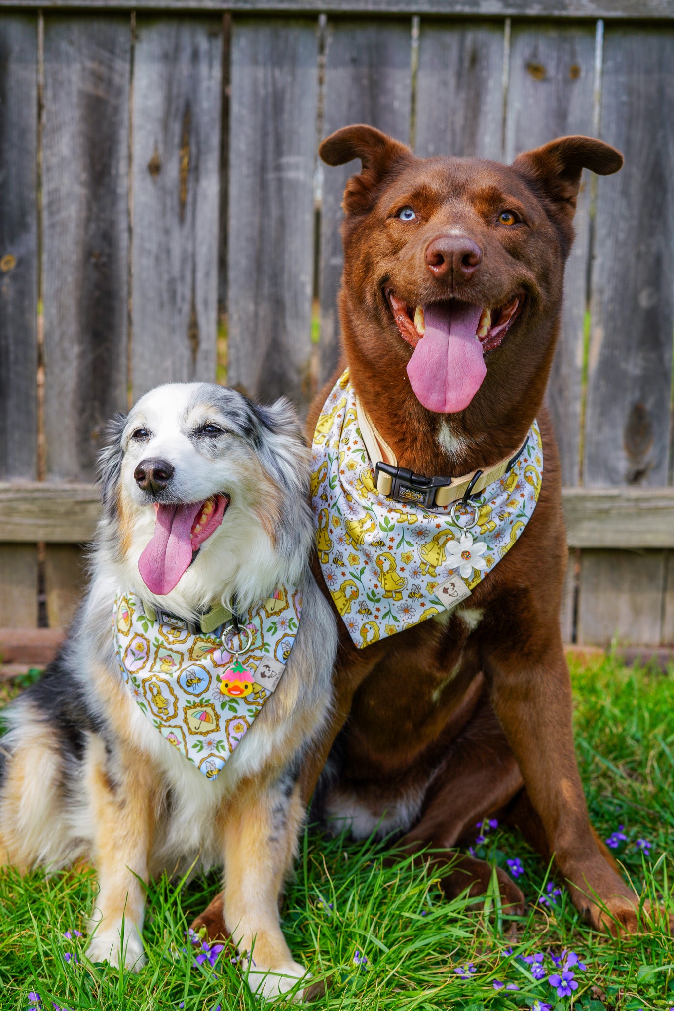 Rainy Day Duck - Active Snap On Bandana (Reversible)