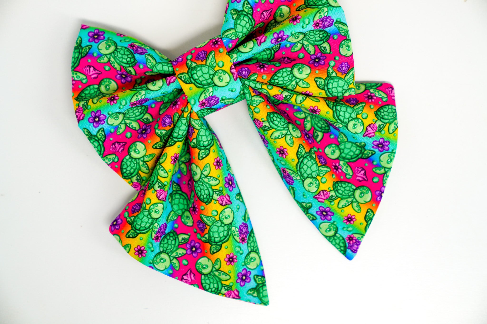 Turtle Rainbow (April Monthly Mystery) - Bow