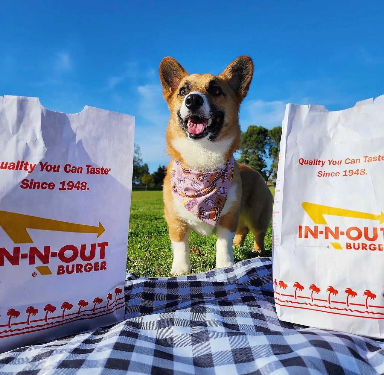 Cali Burger - Bandana