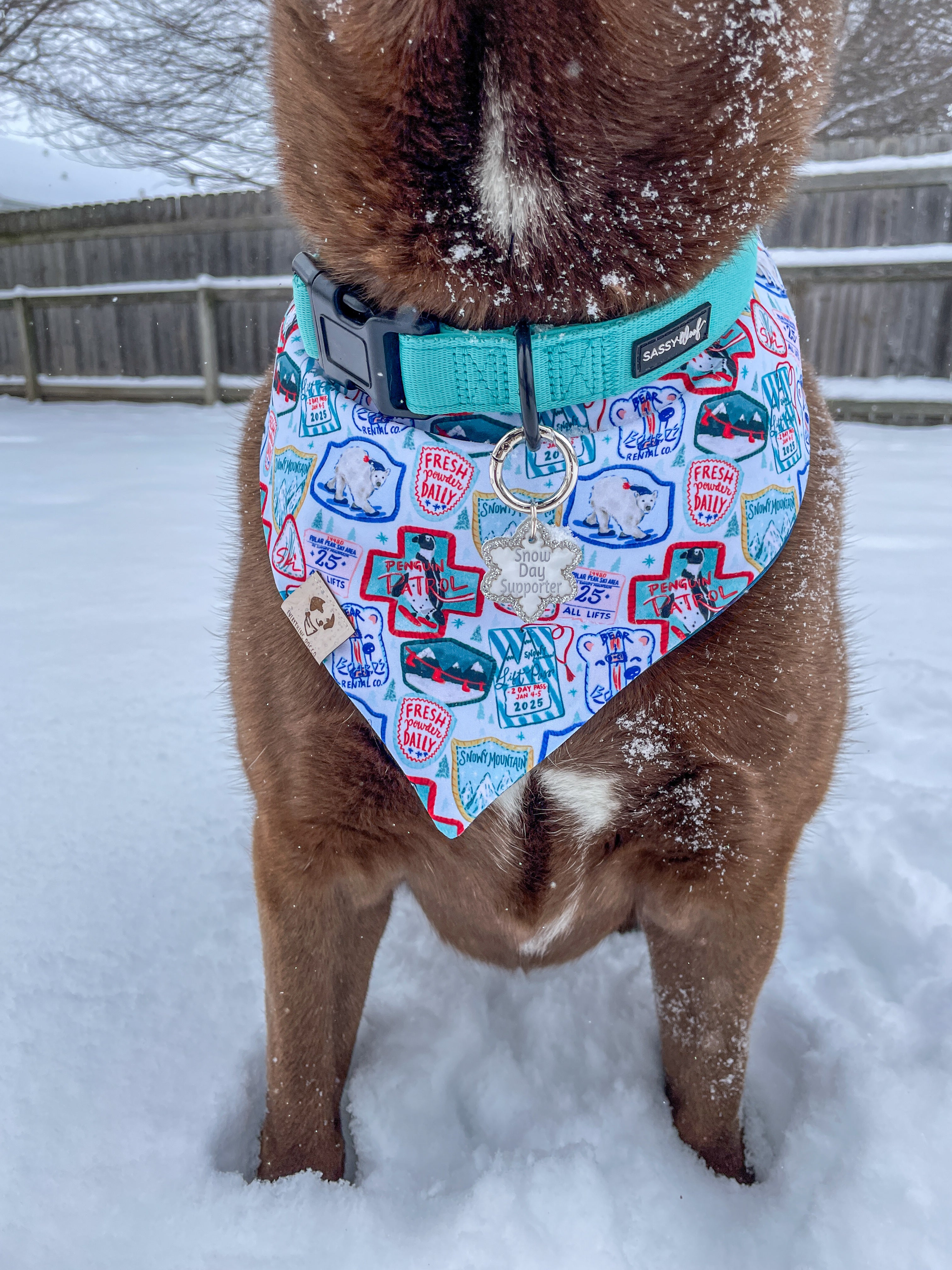 Ski Season (December Monthly Mystery) - Bandana