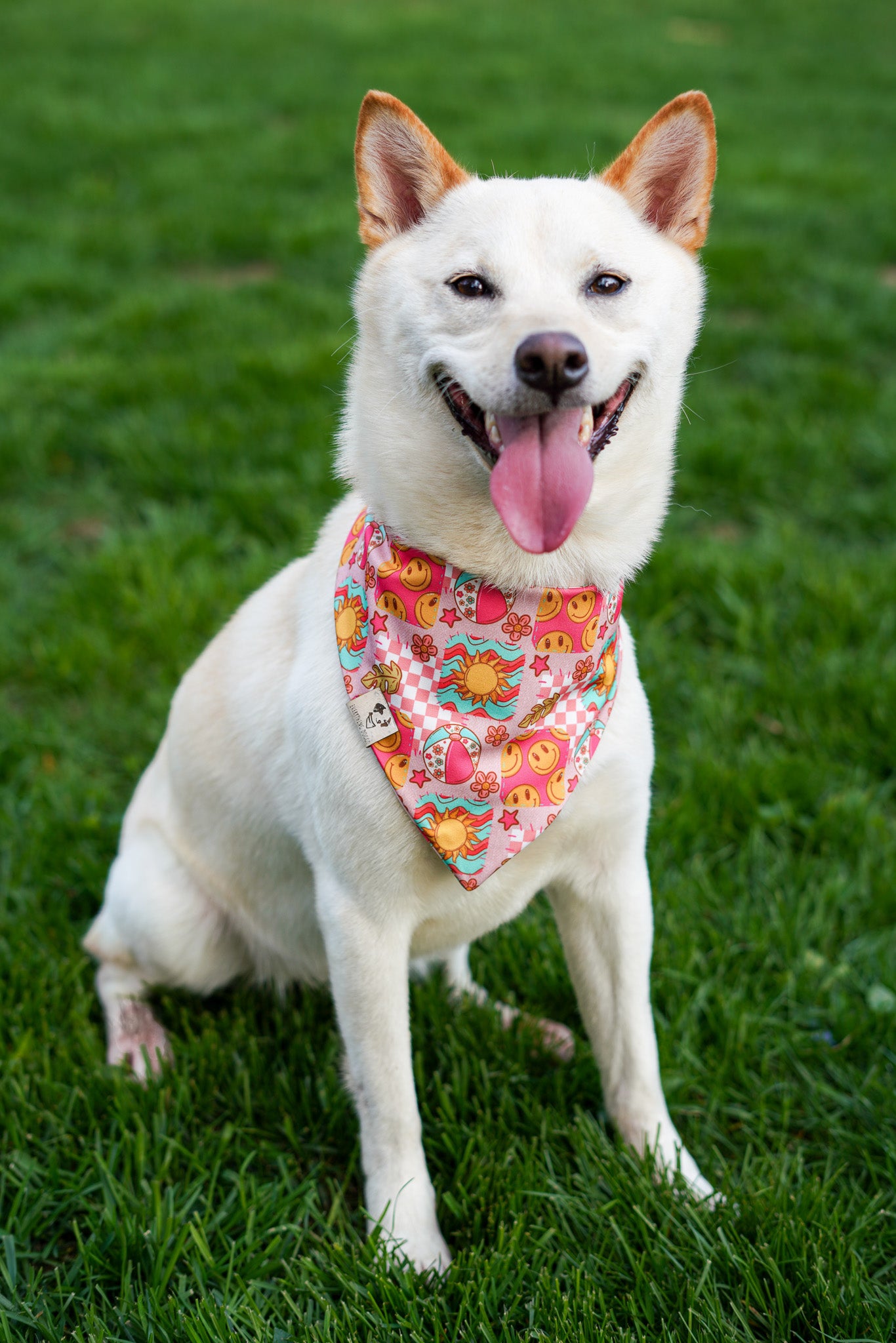 Hot Girl Summer - Active Snap On Bandana (Reversible)
