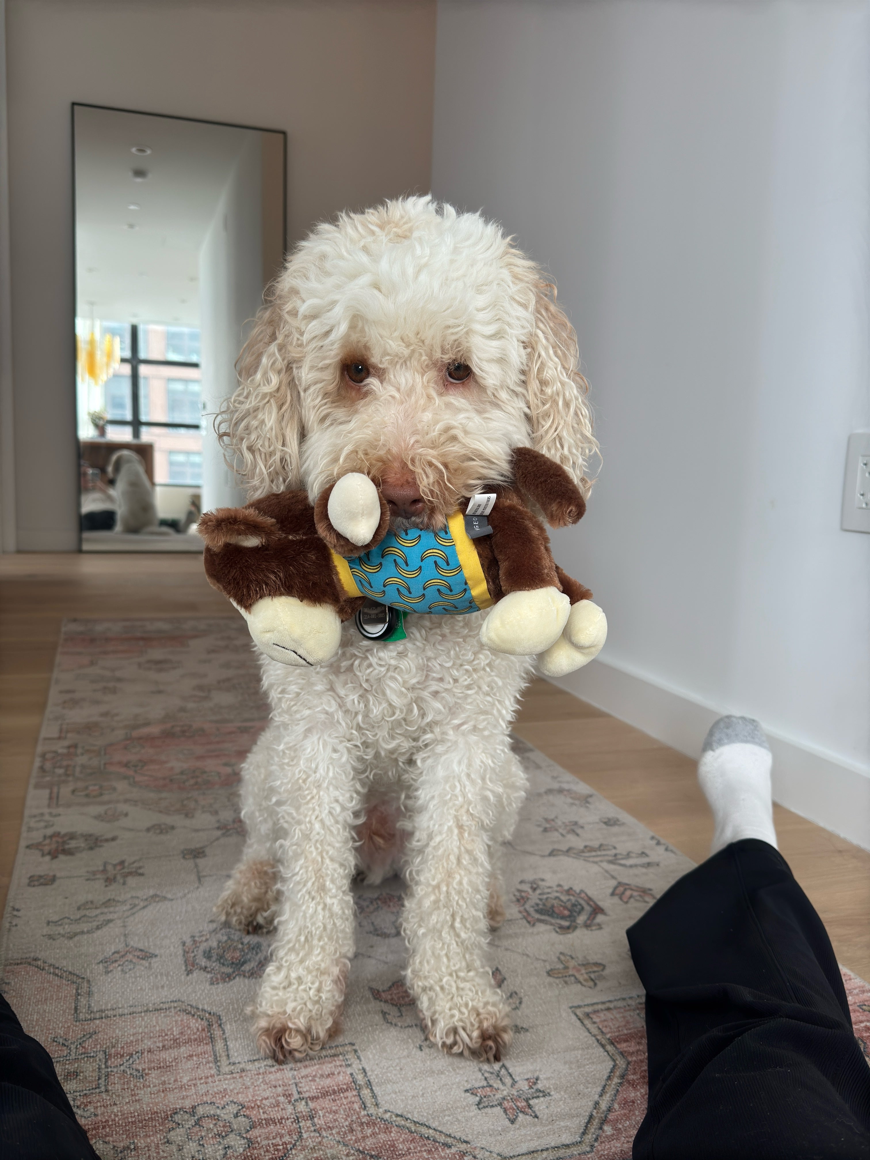 Monkey Bananas Plush Dog Toy