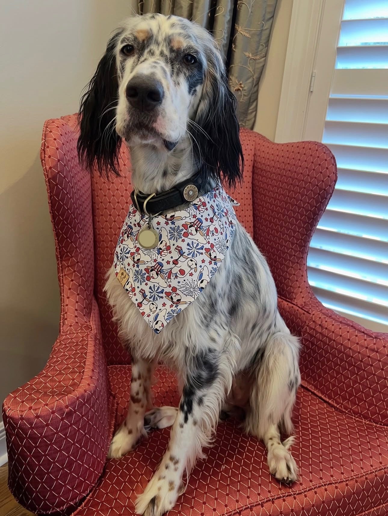 Patriotic Lamby - Bandana